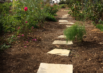 Beautiful Walkway