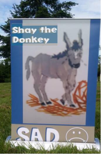 Shay the donkey