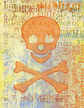 Skull & Crossbones